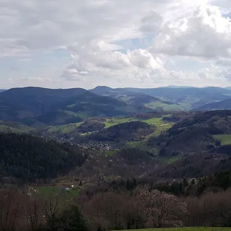 旅馆 D'etape Nature Les Brimbelles - Plus Haut Village Alsace Aubure