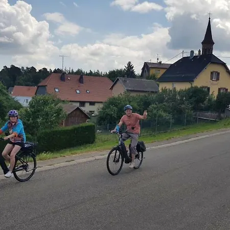D'etape Nature Les Brimbelles - Plus Haut Village Alsace 旅馆 *