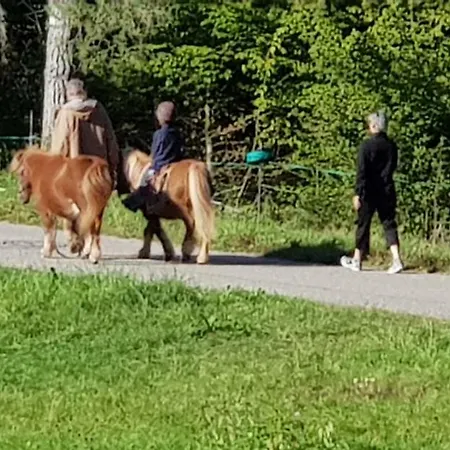 D'etape Nature Les Brimbelles - Plus Haut Village Alsace *